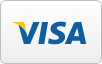 6axis Media Payment Visa